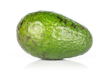 One whole fresh green avocado isolated on white background