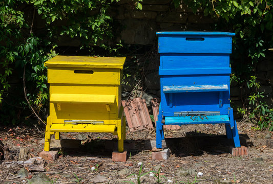 Beekeeping. Colourful hives