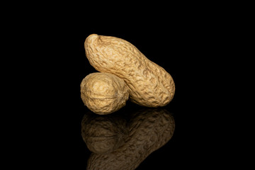 Group of two whole tasty beige peanut isolated on black glass