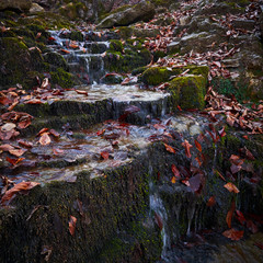 Small waterfall in the autumn forest.