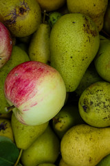 pears and apples