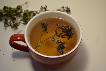 cup of tea