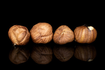 Group of four whole tasty brown hazelnut line isolated on black glass