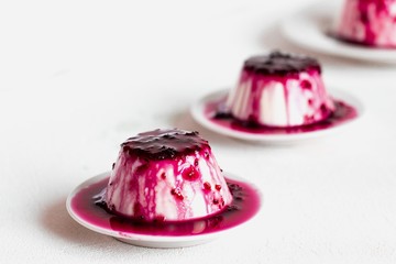 Creamy dessert Panna cotta, milk jelly with currant berry sauce