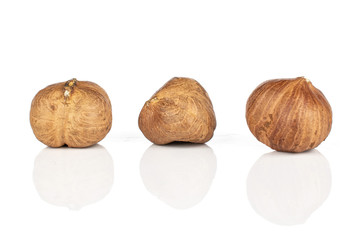 Group of three whole tasty brown hazelnut isolated on white background