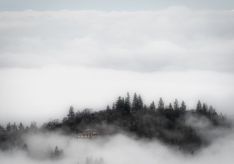 Fototapeta na wymiar Surreal foggy day in the Oregon hills