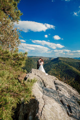 Beautiful newlyweds hugging against the backdrop of rocks and mountains. Stylish bride and beautiful bride are standing on the cliff. Wedding portrait. Family photo