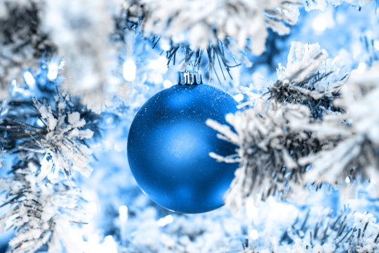 Blue Christmas ball in snowy fir branches. Photo
