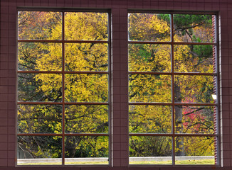 Fall through window