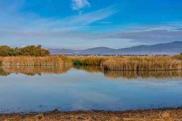 Tablas de Daimiel National Park, Castilla la Mancha, Spain