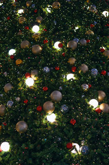 Obraz na płótnie Canvas The ornament decoration christmas tree