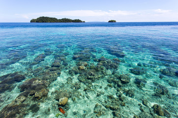 Beautiful sea in front of Togian islands