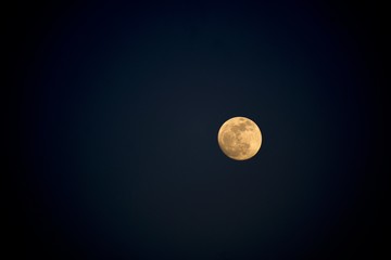 Moon