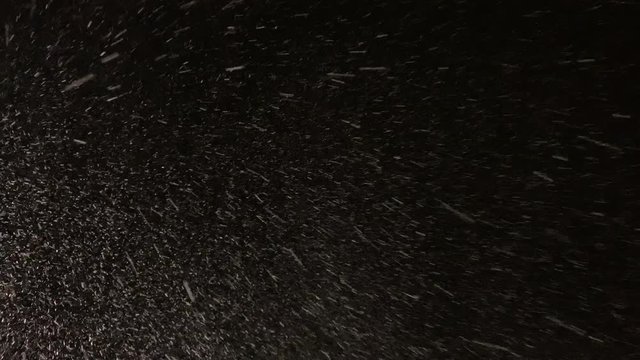 LD CU White snowflakes swirling against the black background