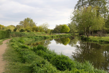 Fototapeta na wymiar Tranquil English Canal scene in Surrey in the south of England