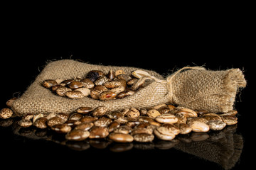 Lot of whole speckled brown bean pinto with jute bag isolated on black glass