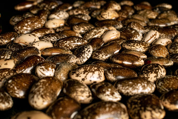 Lot of whole organic speckled brown bean pinto isolated on black glass
