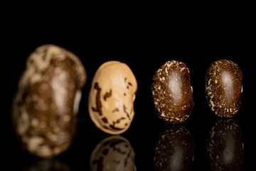 Group of four whole speckled brown bean pinto back focus isolated on black glass