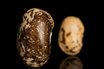 Group of two whole speckled brown bean pinto isolated on black glass