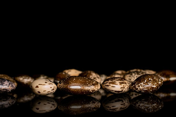 Lot of whole speckled brown bean pinto isolated on black glass