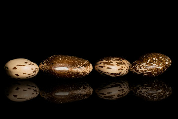 Group of four whole speckled brown bean pinto isolated on black glass