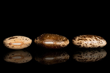 Group of three whole speckled brown bean pinto isolated on black glass