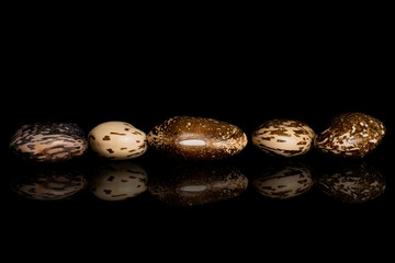 Group of five whole speckled brown bean pinto isolated on black glass