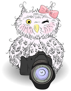 Cute gray owl with a camera and bow, hand-drawing, watercolor, sketch