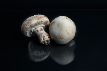 mushrooms with reflection isolated on black background