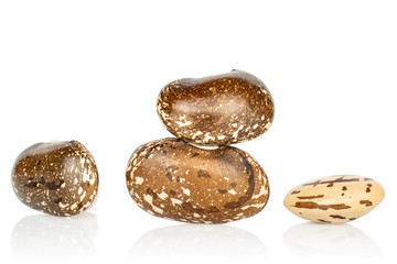Group of four whole dried speckled brown bean pinto isolated on white background