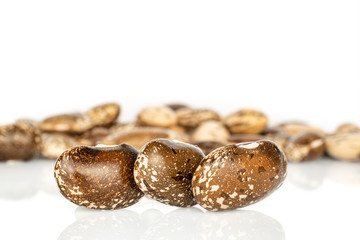 Obraz na płótnie Canvas Lot of whole dried speckled brown bean pinto isolated on white background