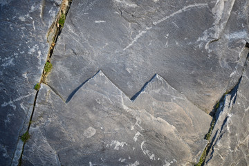 gray stone surface with patterns and cracks in which moss sprouted