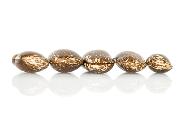 Group of five whole speckled brown bean pinto in line isolated on white background