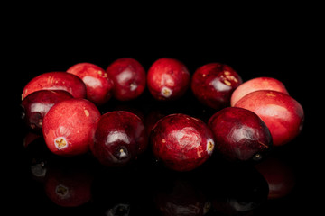 Lot of whole fresh red cranberry ring isolated on black glass