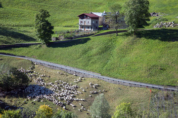 Fototapete bei efototapeten.de bestellen   