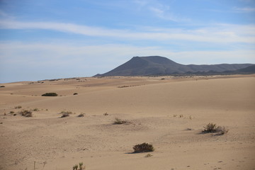 Fototapeta na wymiar Fuerteventura, le parc naturel des dunes de Corralejo (Les Canaries)