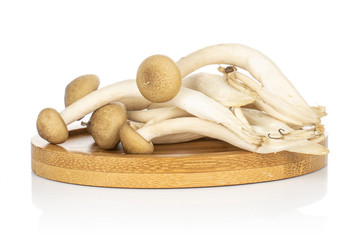 Lot of whole shimeji brown mushroom on round bamboo coaster isolated on white background