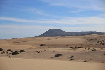 Fototapeta na wymiar Fuerteventura, le parc naturel des dunes de Corralejo (Les Canaries)