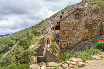 David Gareji or Gardja cave monastery complex - 309811010