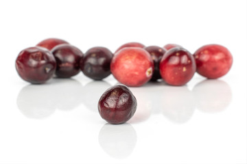 Lot of whole fresh red cranberry isolated on white background