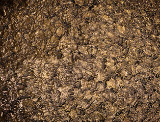  Rough Gold texture background.