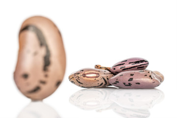 Lot of whole fresh speckled bean pinto back focus isolated on white background