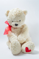  Teddy bear on a white background