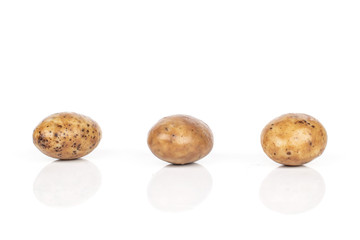 Group of three whole tiramisu brown almond nut isolated on white background