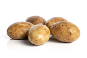 Group of five whole tiramisu brown almond nut isolated on white background