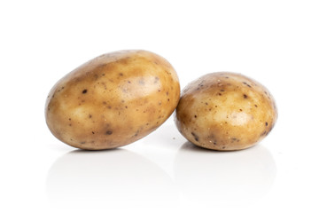 Group of two whole tiramisu brown almond nut isolated on white background