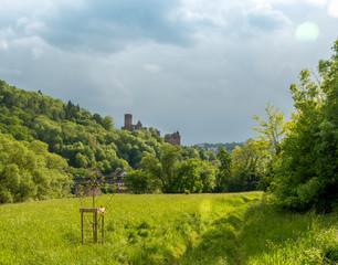 Ruine der Burg Wertheim und Wiesen am Main