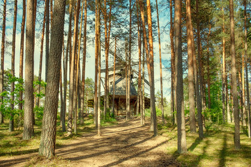 Obraz premium Riga, Latvia, Wooden windmill in the forest of the Ethnographic Museum in the open air