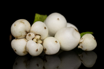 Lot of whole white snowberry stack isolated on black glass