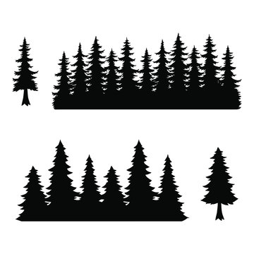 Trees, silhouette of forest